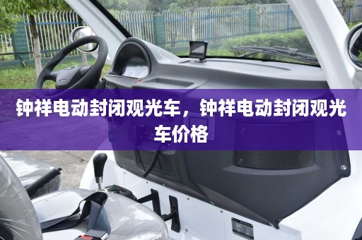 钟祥电动封闭观光车，钟祥电动封闭观光车价格