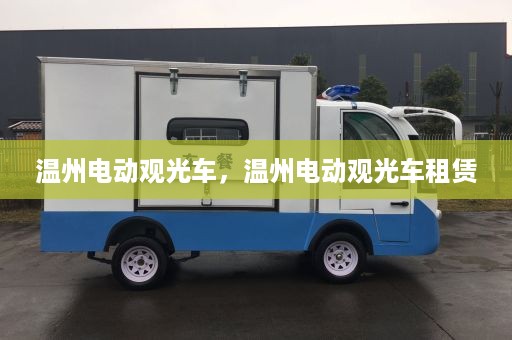 温州电动观光车，温州电动观光车租赁