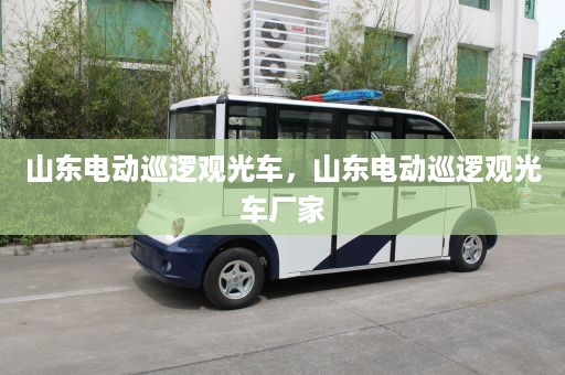 山东电动巡逻观光车，山东电动巡逻观光车厂家