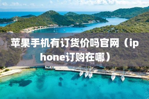 苹果手机有订货价吗官网（iphone订购在哪）