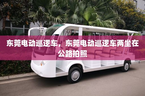 东莞电动巡逻车，东莞电动巡逻车两坐在公路拍照