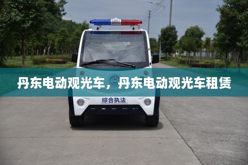 丹东电动观光车，丹东电动观光车租赁