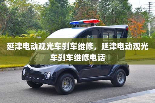 延津电动观光车刹车维修，延津电动观光车刹车维修电话