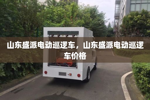 山东盛派电动巡逻车，山东盛派电动巡逻车价格