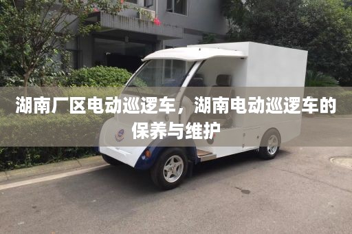 湖南厂区电动巡逻车，湖南电动巡逻车的保养与维护