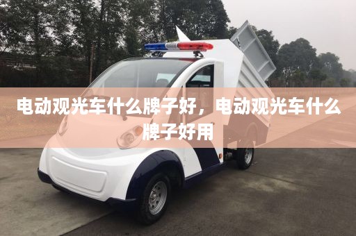 电动观光车什么牌子好，电动观光车什么牌子好用