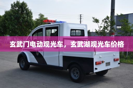 玄武门电动观光车，玄武湖观光车价格