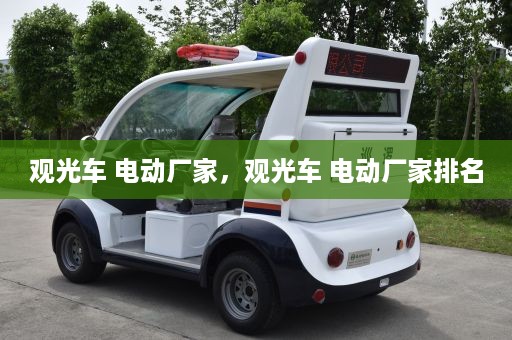 观光车 电动厂家，观光车 电动厂家排名