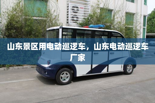 山东景区用电动巡逻车，山东电动巡逻车厂家