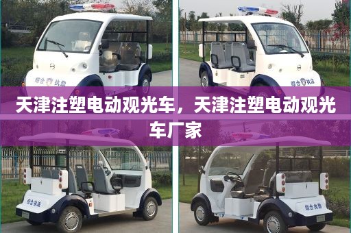 天津注塑电动观光车，天津注塑电动观光车厂家