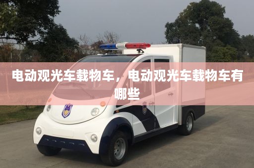 电动观光车载物车，电动观光车载物车有哪些