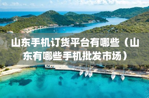 山东手机订货平台有哪些（山东有哪些手机批发市场）