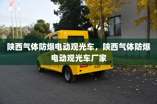 陕西气体防爆电动观光车，陕西气体防爆电动观光车厂家