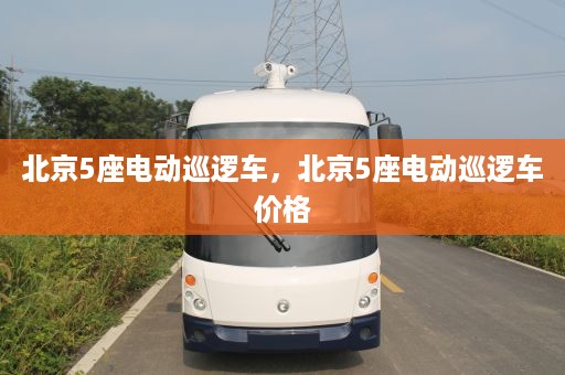 北京5座电动巡逻车，北京5座电动巡逻车价格