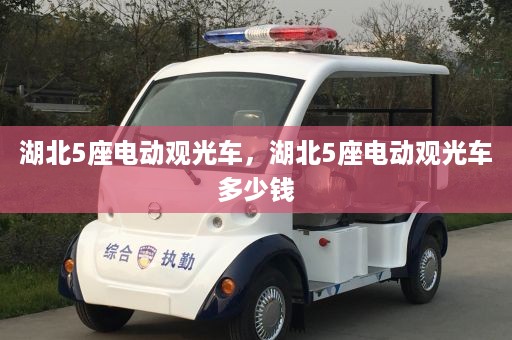 湖北5座电动观光车，湖北5座电动观光车多少钱