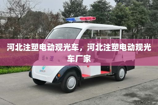 河北注塑电动观光车，河北注塑电动观光车厂家