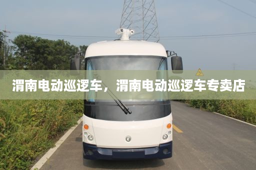 渭南电动巡逻车，渭南电动巡逻车专卖店