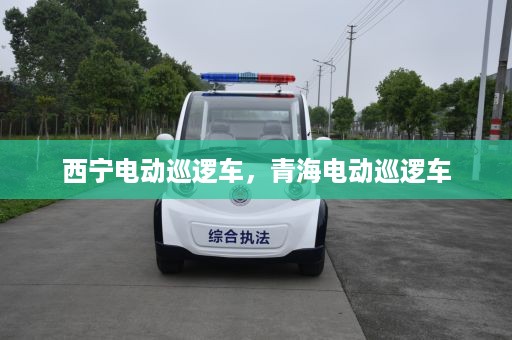 西宁电动巡逻车，青海电动巡逻车