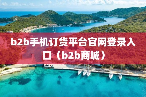 b2b手机订货平台官网登录入口（b2b商城）