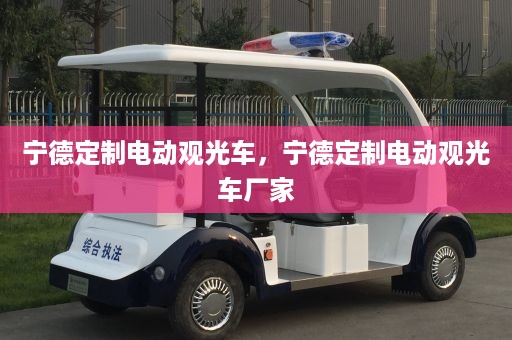 宁德定制电动观光车，宁德定制电动观光车厂家