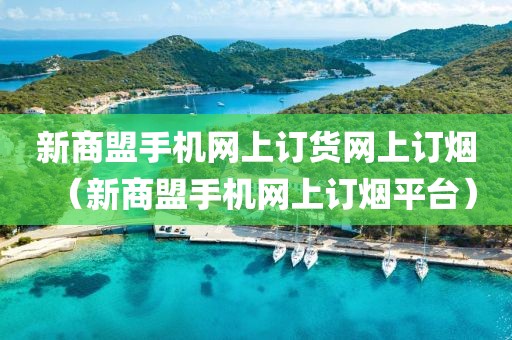 新商盟手机网上订货网上订烟（新商盟手机网上订烟平台）