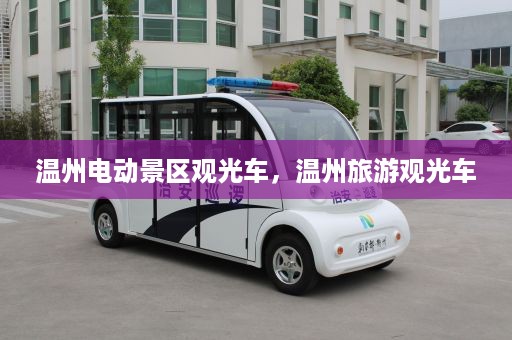 温州电动景区观光车，温州旅游观光车