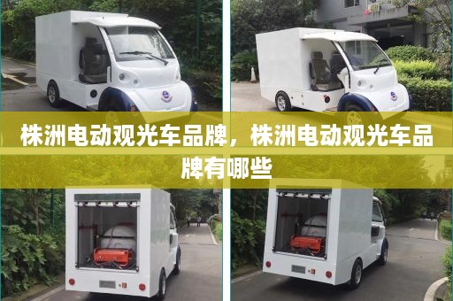 株洲电动观光车品牌，株洲电动观光车品牌有哪些