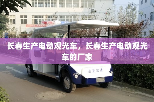 长春生产电动观光车，长春生产电动观光车的厂家