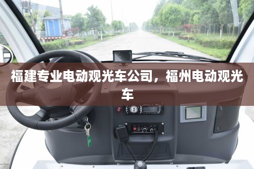 福建专业电动观光车公司，福州电动观光车