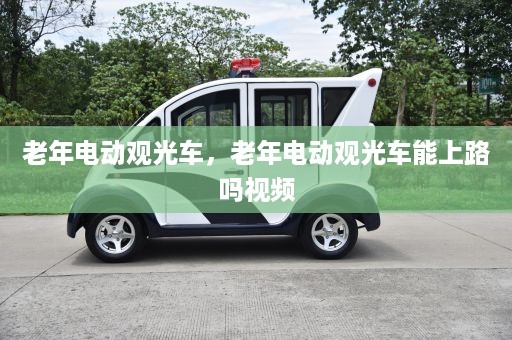 老年电动观光车，老年电动观光车能上路吗视频