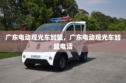 广东电动观光车加盟，广东电动观光车加盟电话