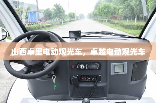 山西卓里电动观光车，卓越电动观光车