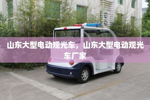 山东大型电动观光车，山东大型电动观光车厂家