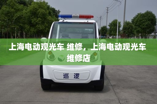 上海电动观光车 维修，上海电动观光车 维修店