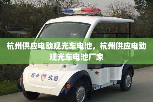 杭州供应电动观光车电池，杭州供应电动观光车电池厂家