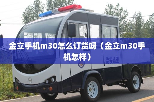 金立手机m30怎么订货呀（金立m30手机怎样）