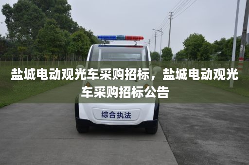 盐城电动观光车采购招标，盐城电动观光车采购招标公告