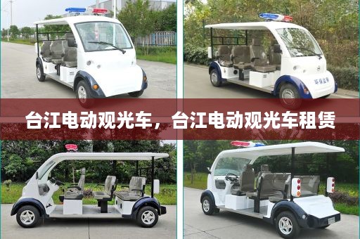 台江电动观光车，台江电动观光车租赁