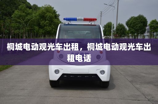 桐城电动观光车出租，桐城电动观光车出租电话