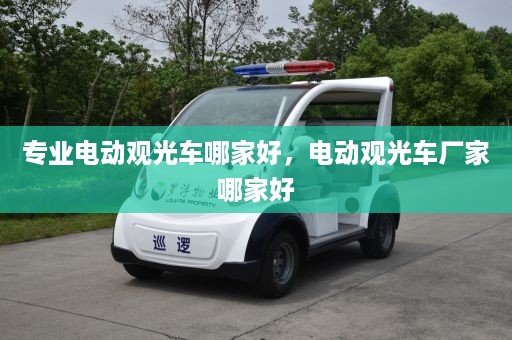 专业电动观光车哪家好，电动观光车厂家哪家好