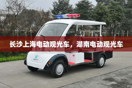 长沙上海电动观光车，湖南电动观光车