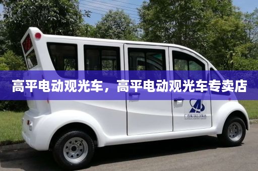 高平电动观光车，高平电动观光车专卖店