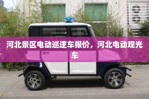 河北景区电动巡逻车报价，河北电动观光车