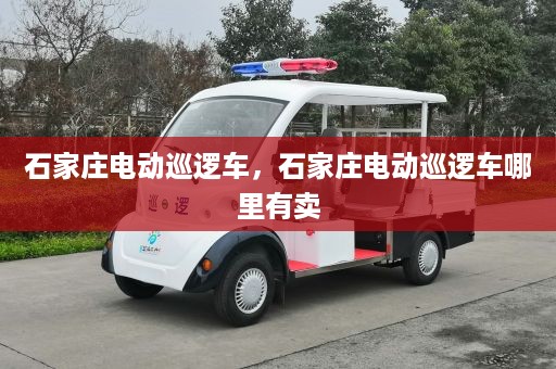 石家庄电动巡逻车，石家庄电动巡逻车哪里有卖