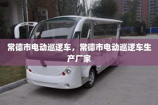 常德市电动巡逻车，常德市电动巡逻车生产厂家