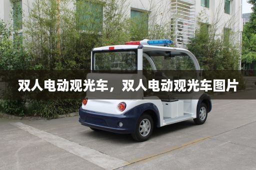 双人电动观光车，双人电动观光车图片