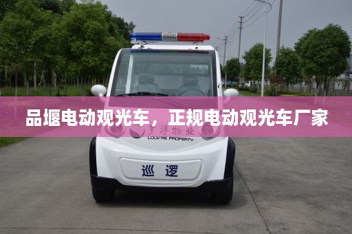 品堰电动观光车，正规电动观光车厂家