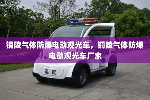 铜陵气体防爆电动观光车，铜陵气体防爆电动观光车厂家