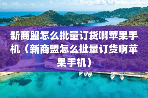 新商盟怎么批量订货啊苹果手机（新商盟怎么批量订货啊苹果手机）