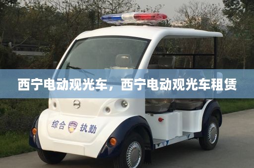 西宁电动观光车，西宁电动观光车租赁